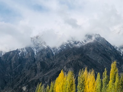 Baiyun mountain under the green trees during the day
